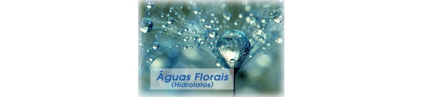 Hidrolatos / Águas Florais